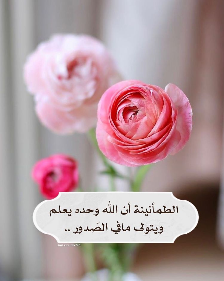 ���� ���_aB177