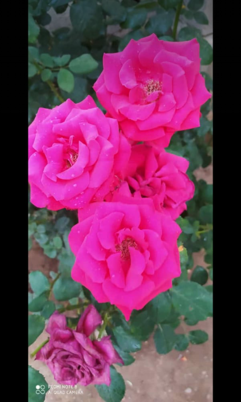 ����� �����_K_Fj7