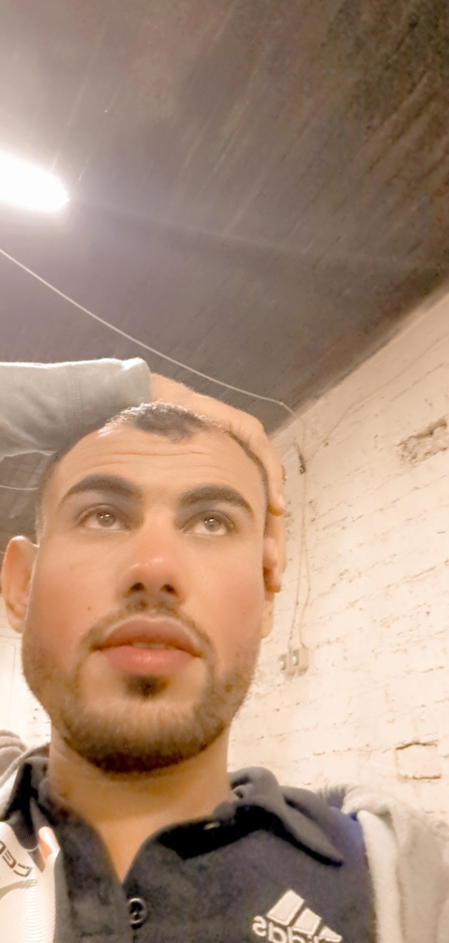 mahmoud hassan_7lPtn