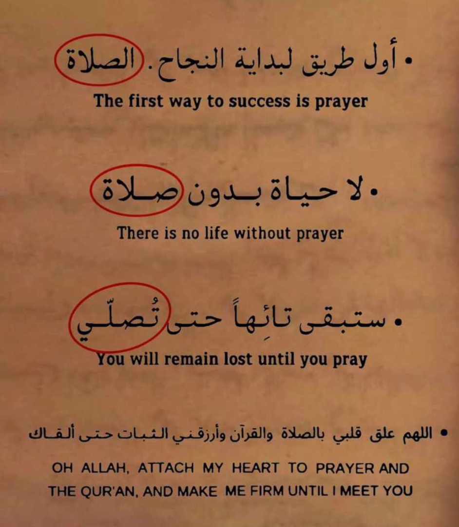 Mohamad Alhoussein_HizWZ