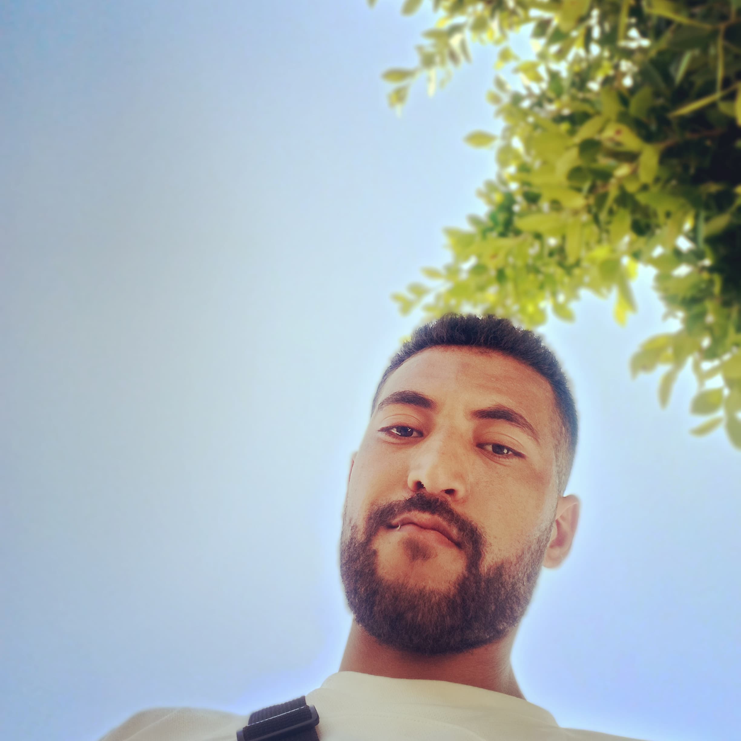 ���� �����_HCtyQ