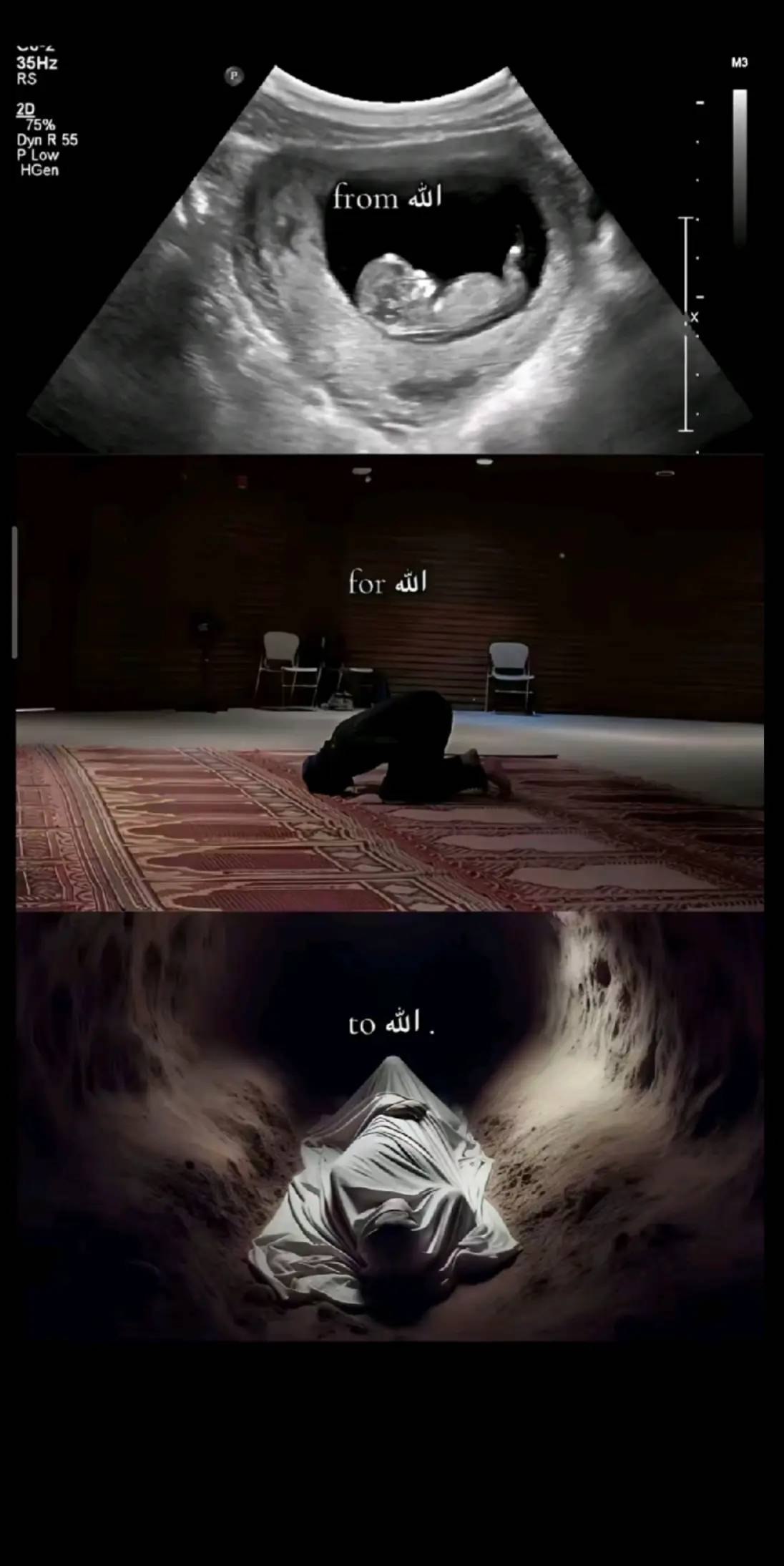 Omare Mohamed_ssYYo