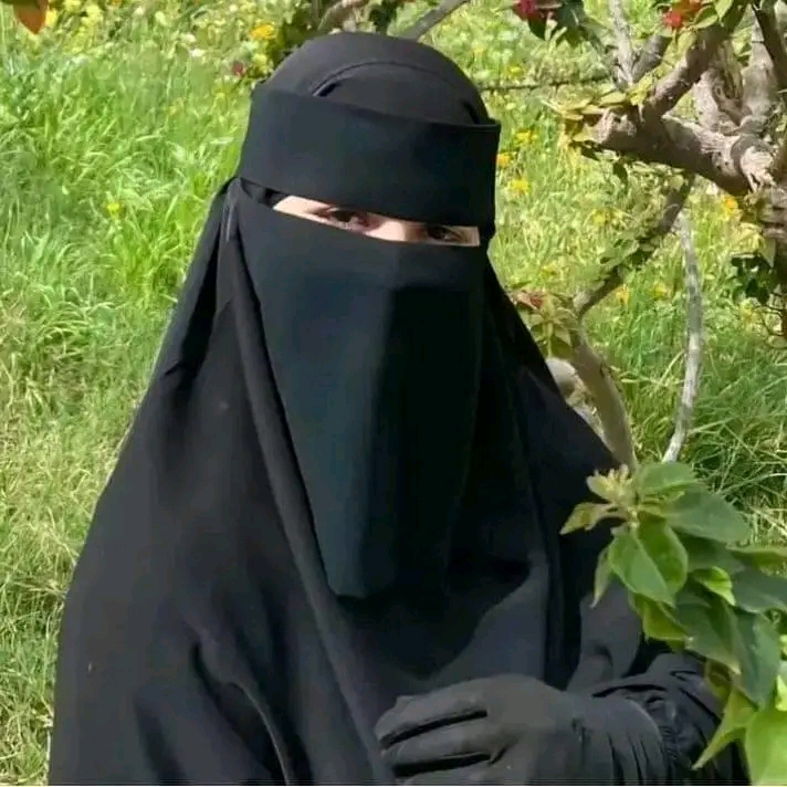 ����� �����_547Hj